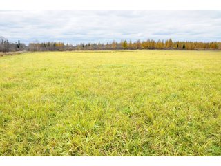 Property photo 32 - REAL ESTATE AUCTION - 1,428+/- ACRES OFFERED IN 10 TRACTS IN PRICE CO., WI